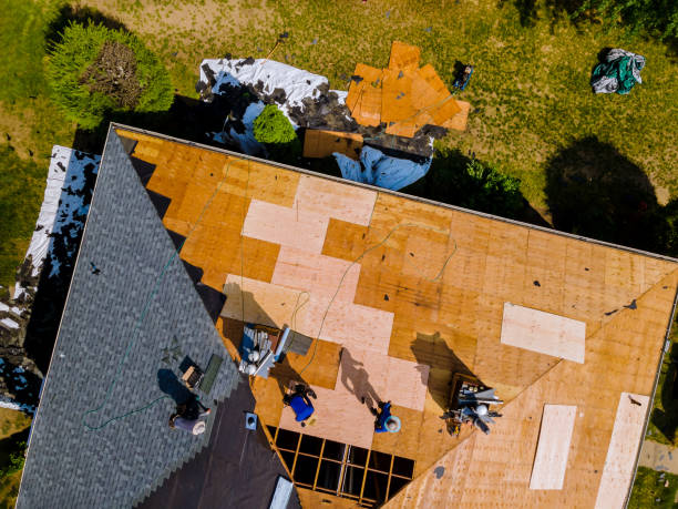 Best Metal Roofing Contractor  in Woodworth, OH